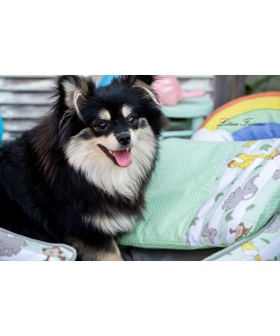 CAMINHA PET MAX SAFARI